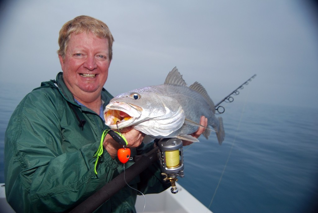 The Squid Vicious has proven to be very effective over deepwater marks.  This jew took one at night. - Deepwater Jigs III: Shrimp and Squid © Lee Brake